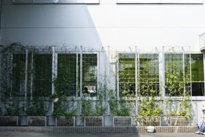 浜松市で壁面緑化・環境整備